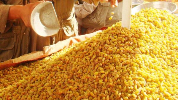 AFG Green Raisins - Image 8