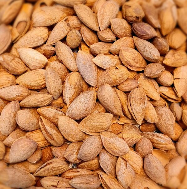 Paper Skin Almond