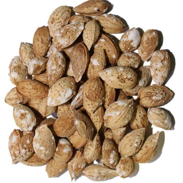 Afg Paper Almond (3)
