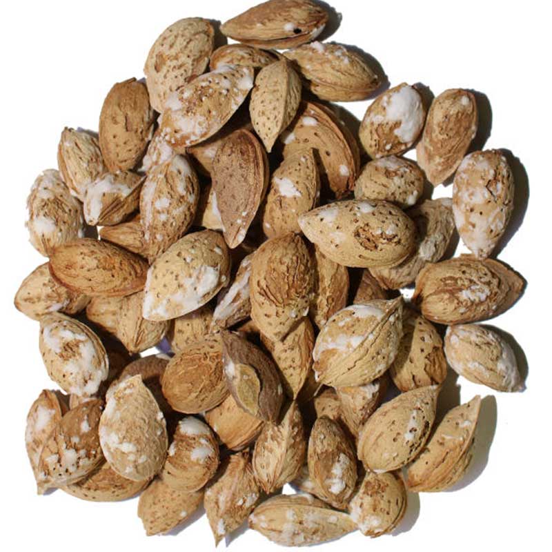 Afg Paper Almond (3)