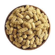 Afghani White Mulberry 4